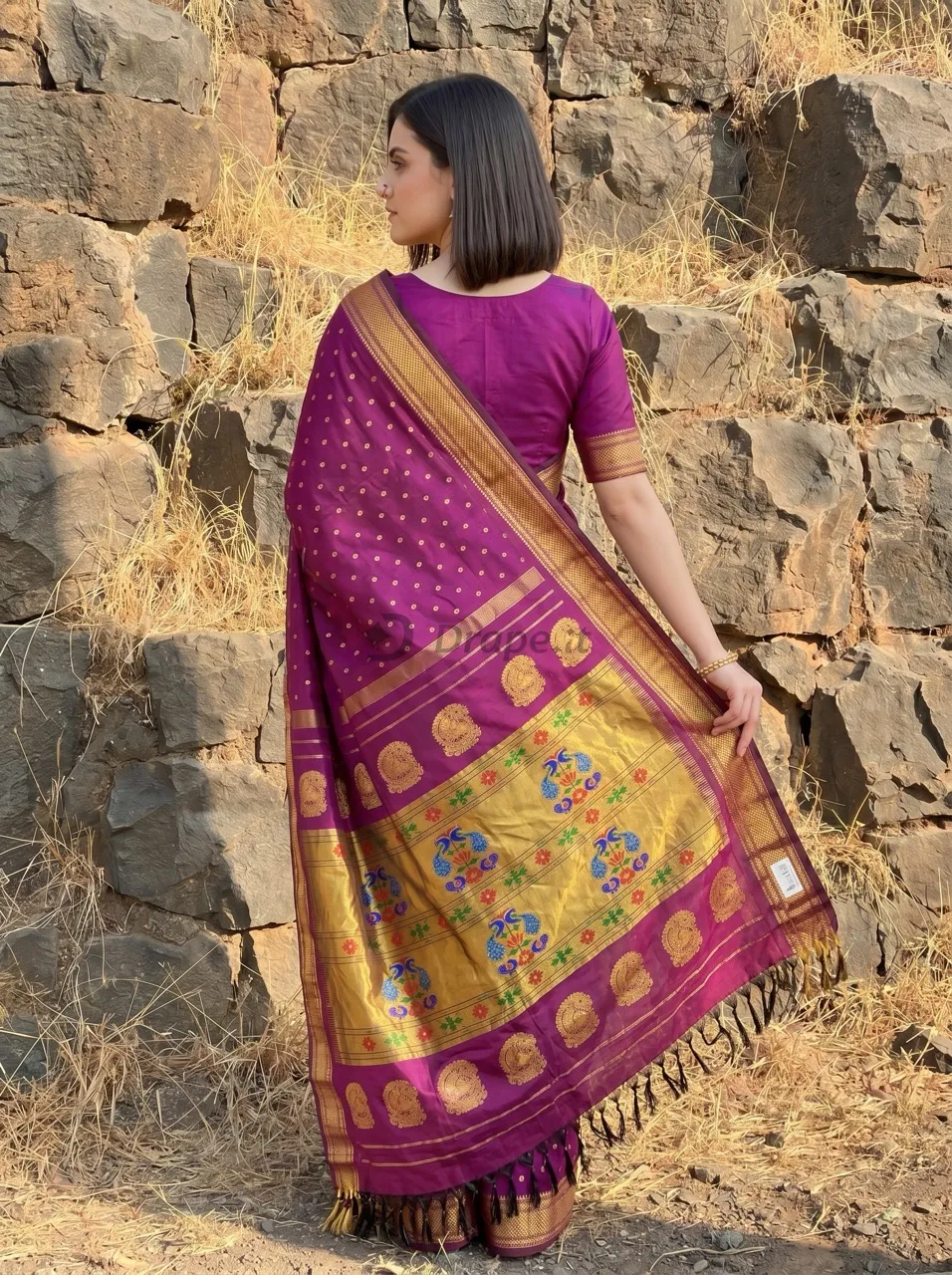 Back-drape saree photoshoot — magenta Paithani silk saree with gold peacock-motif pallu